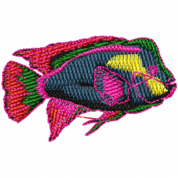 Fishes Embroidery Design 8